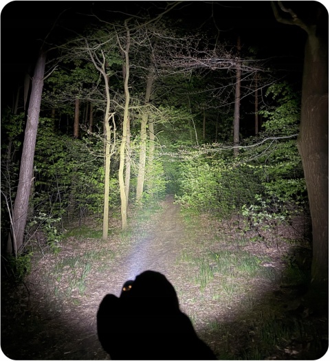 PREMIUM! BARDZO MOCNA LATARKA LED KOMPAKTOWA Z10 1400lm USB-C 4800 mAh