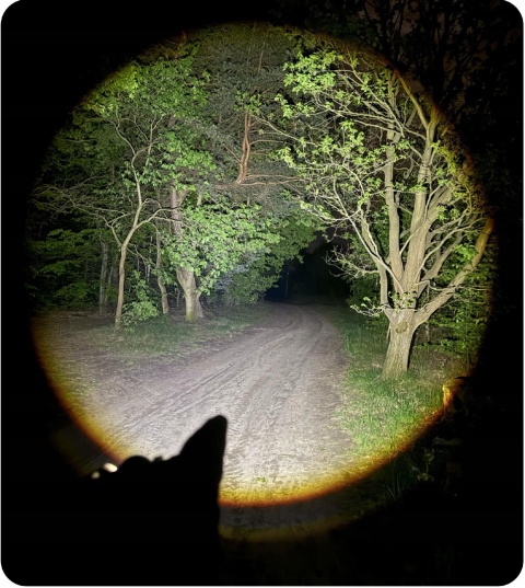 PREMIUM! DALEKOSIĘŻNA LATARKA CZOŁOWA LED ZOOM maXvision H11B