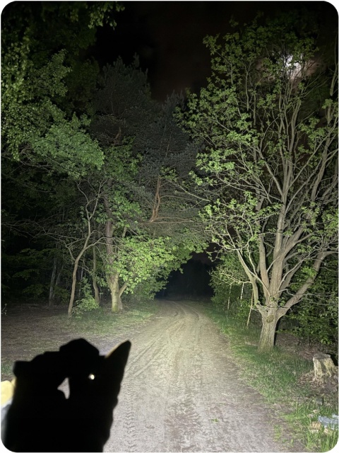 PREMIUM! LATARKA CZOŁOWA maXvision H30B LED SST40 LED + aku 18650